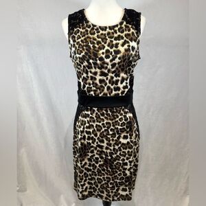 Boston Proper cheetah animal print flattering lace detail sheath dress size 8